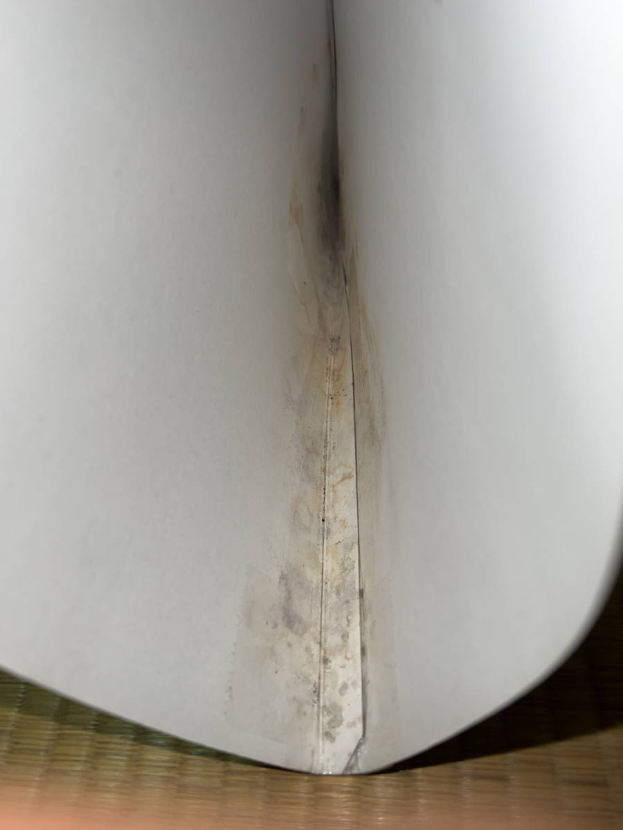 Laser Disk Warner BRUCE LEE and JOHN SAXON ENTER THE DRAGON 1992Used F/S