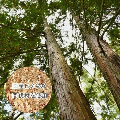 Hassey Top-in Bath Chair Set of 3 Made in Japan Japanese Cypress New F/S