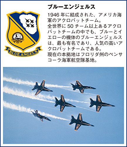 Citizen Watch PROMASTER Eco-Drive Radio Sky Series Limited Blue Angels Model New