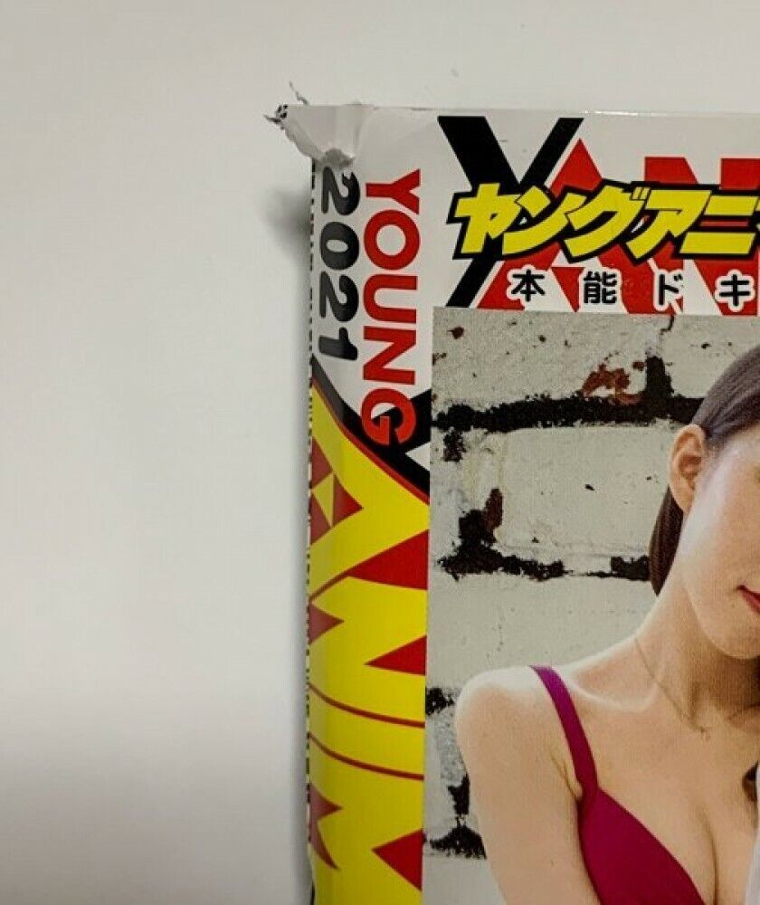 Berserk Young Animal 2021 9/24 issue w/Berserk famous scene poster From Japan