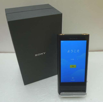 SONY Walkman Model number: NW-ZX507 Used in Japan 24080802 F/S