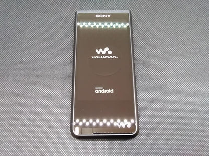 SONY Walkman Model number: NW-ZX507 Used in Japan 24080803 F/S