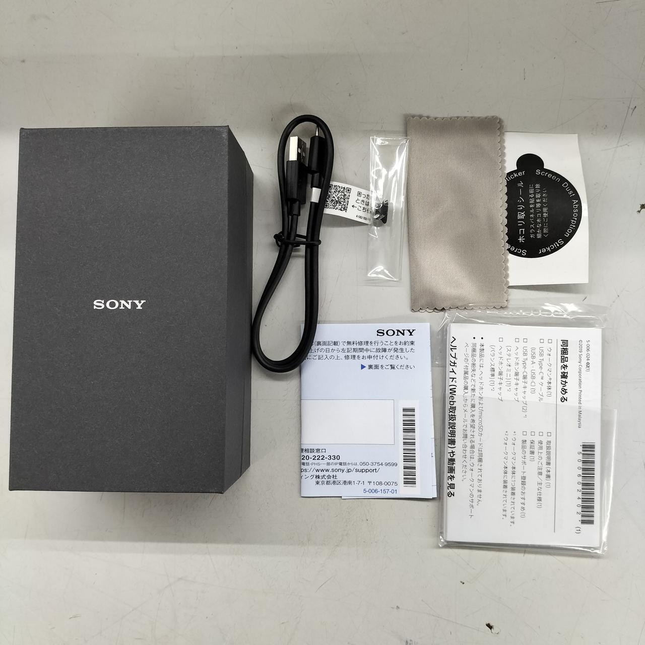 SONY Walkman Model number: NW-ZX507 Used in Japan F/S 240808006