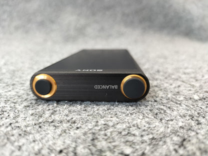 Sony Walkman NW-ZX300 Portable Audio Used in Japan 0805004