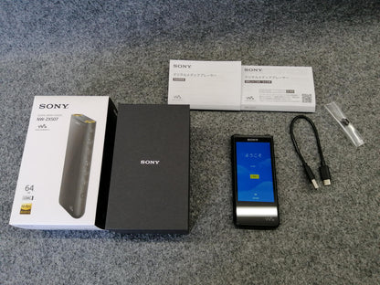 Sony Walkman Model Number: NW-ZX507 Used in Japan F/S