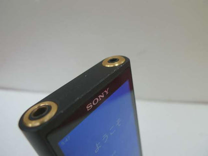 Sony Walkman Model Number: NW-ZX507 Use in Japan 64GB F/S