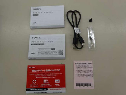 SONY Walkman Model number: NW-ZX507 Used in Japan