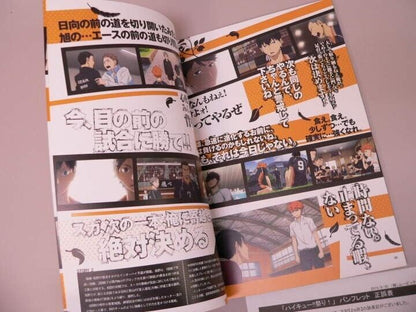 Haikyu!! Festival Pamphlet TOHO Cinemas Shinjuku Screen 9 on June 6, 2015 Used