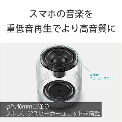 Sony Wireless Portable Speakers SRS-XB12 B 2019 Model From Japan