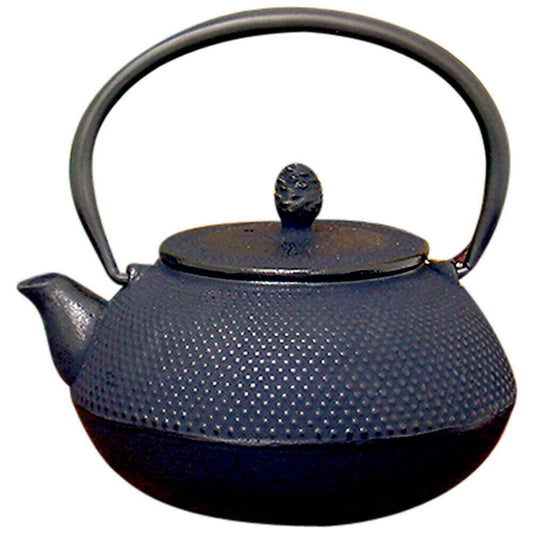 Nanbu Tekki teapot iron kettle Calculator Arale pattern 0.5 liter From Japan