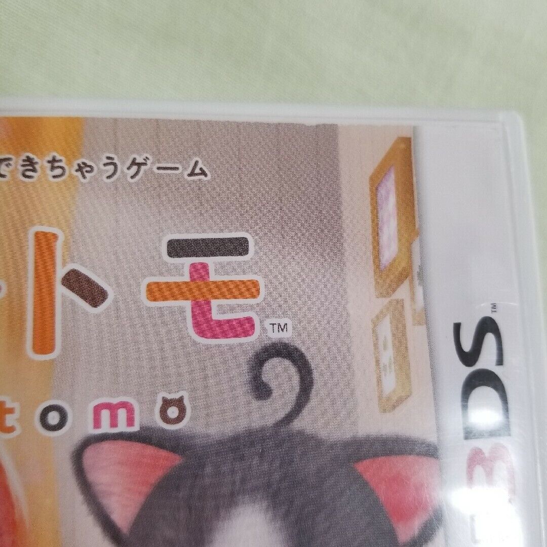 Cat Tomo