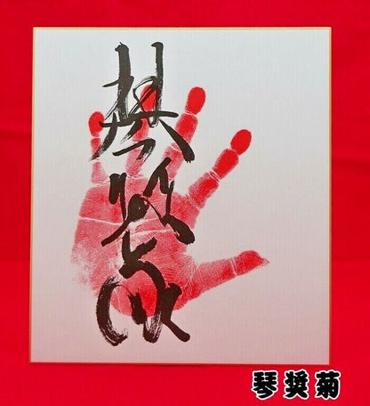 Japan Sumo Wrestler Handprint colored paper Made in Japan Free Shipping