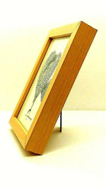 Art Ichiro Yamaguchi DM Card Framed  From Japan