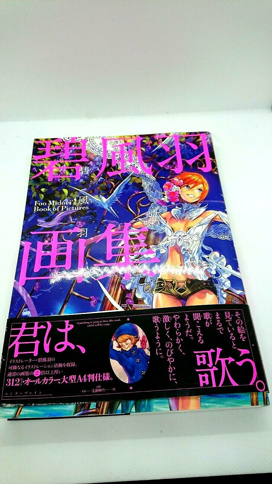 Midori Fuu Art Book (Beam Comics) Out of Print Obi First Edition Japan