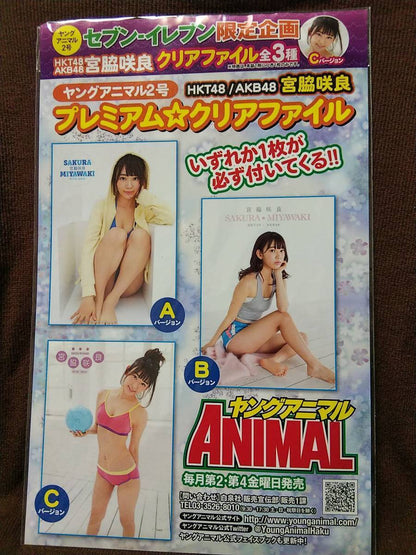 Clear File Sakura Miyawaki Young Animal Appendix Seven-Eleven Limited Used