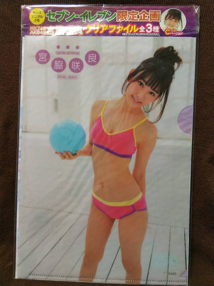 Clear File Sakura Miyawaki Young Animal Appendix Seven-Eleven Limited Used