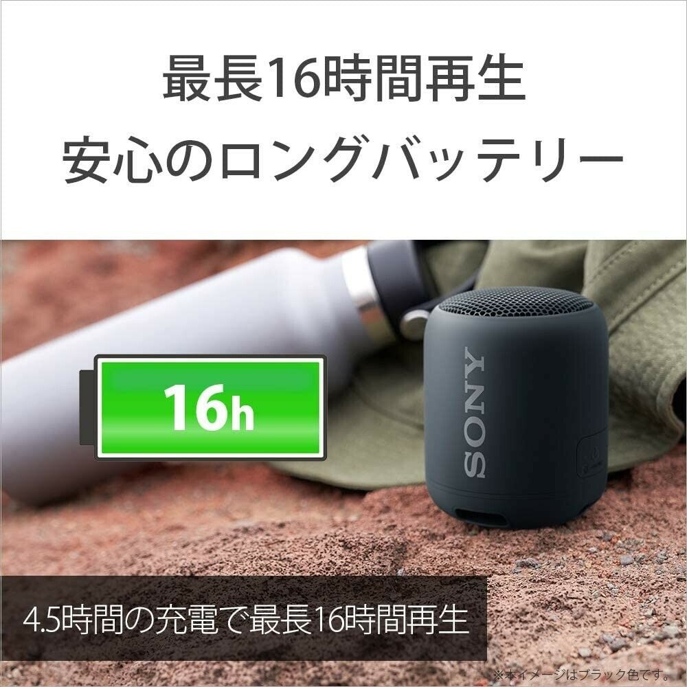 Sony Wireless Portable Speakers SRS-XB12 B 2019 Model From Japan