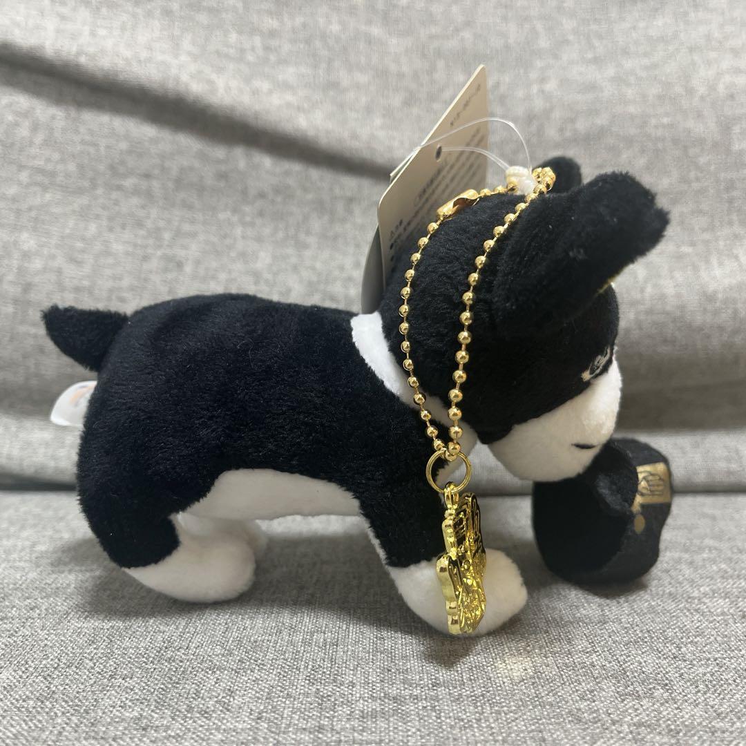 Near Mint JoJo's Bizarre Adventure Universal studio japan iggy Plush Keychain