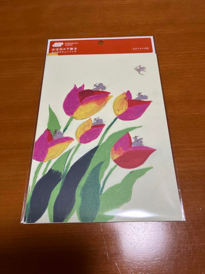 Near Mint Hobonichi Notebook Cover A5 Cousin Size 2024 Keiko Shibata Used